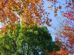 -昆山城市生态森林公园