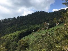 -敬亭山风景名胜区