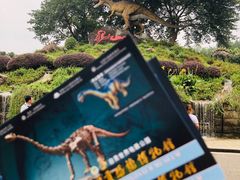 -自贡恐龙博物馆