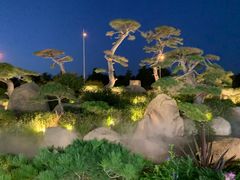 -罗红摄影艺术馆