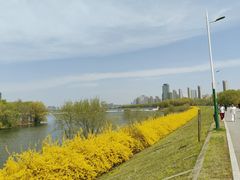 -长白岛森林公园