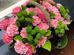 -大自然花鸟鱼虫市场