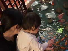 -潇湘甲鱼村(清河店)