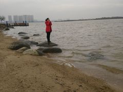 -瑶湖郊野森林公园