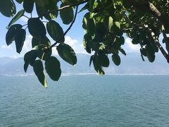 -南诏风情岛