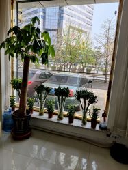 -荟草堂痘肌修护中心