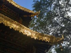 -护国法轮寺