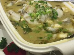 -川味堂·四川豆花(八卦岭店)