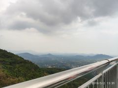 -呀诺达热带雨林