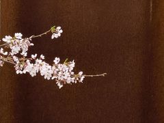 -龙美术馆(西岸馆)
