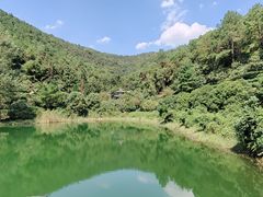 -华庭苑农家乐(旺山店)