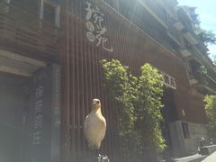 -琬苑鸽庄·川粤融合菜(解放碑总店)