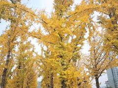 -百林公园-两江幸福广场