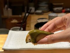 -镹·鱼料理  国产鱼使用店