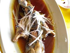 -胖大姐黄辣丁鱼庄(新津店)