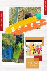 -麦粒鸟亲子游