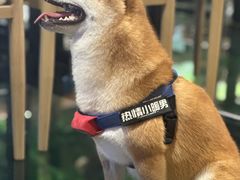 -回声星球·团建策划·赛事承办·拓展培训(大钟寺店)