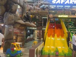 -卡通尼·Safari非洲探索乐园·生日会(金桥国际商业广场店)