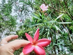 -飞来湖湿地公园