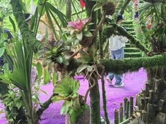 -呀路古热带植物园