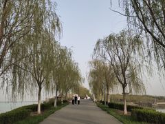 -天津东丽湖风景区