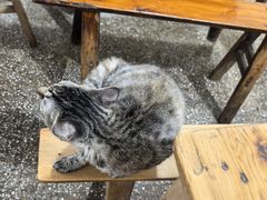 -九九豆花馆(解放碑步行街店)