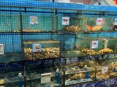 -范饭椰林川湘味海鲜·椰子鸡(三亚湾椰梦长廊店)