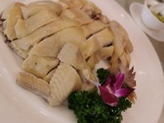 -黄埔华苑酒家(黄埔总店)