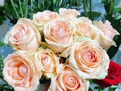 -森野花艺培训·企业团建活动沙龙