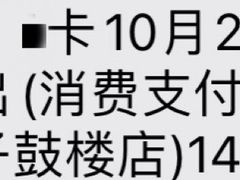 -王阿姨文昌油赞子(府桥街店)