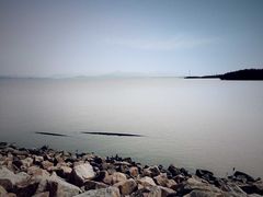 -深圳湾公园(南山区)