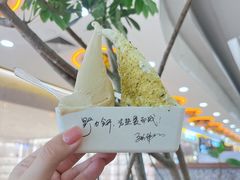 -野人先生Gelato(上海长宁龙之梦店)