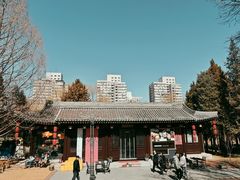 -元大都城垣遗址公园
