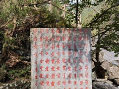 -黄山翡翠谷景区