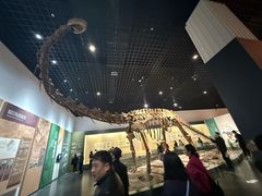 -衢州市博物馆