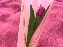 -上海鲜花港
