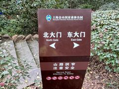 -上海佘山国家森林公园西佘山园