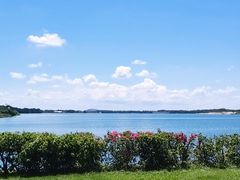 -露天矿生态公园