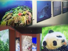-中国湿地博物馆