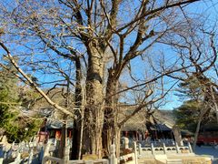 -潭柘寺景区