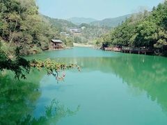 -洪崖丹井