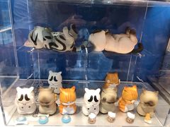 -上海颛桥万达广场
