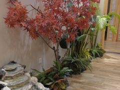 -东方之珠洗浴休闲广场(南开店)
