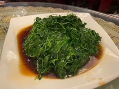 金花菜酒香-新聚丰菜馆(太监弄店)