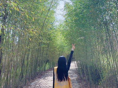 -竹泉村旅游度假区