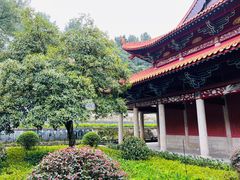 -岳麓山风景名胜区