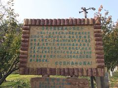-金龙寺国家森林公园