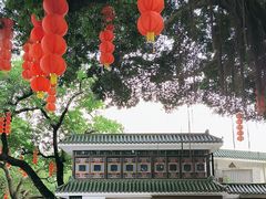-荔湾湖公园