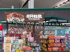 -合肥新桥国际机场-航站楼