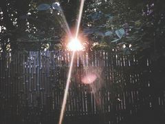 景观位-谷咖啡·鲜花绿植花园餐厅